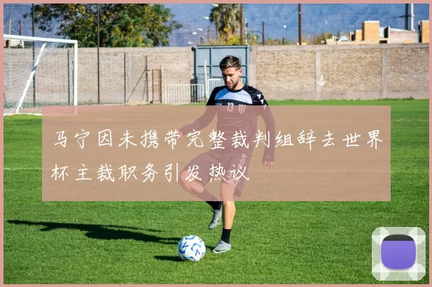 马宁因未携带完整裁判组辞去世界杯主裁职务引发热议