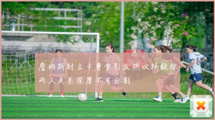 詹姆斯肘击卡鲁索引发热议杨毅称两人关系深厚不可分割