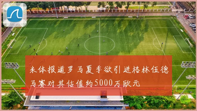 米体报道罗马夏季欲引进格林伍德马赛对其估值约5000万欧元